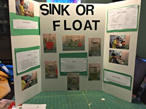 sink or float science fair project my life such as it is