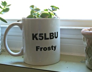 my life such as it is succulent mug k5lbu frosty