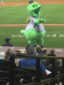 Skeeters mascot my life such as it is minor league baseball constellation field sugar land texas